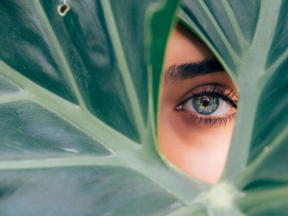 izrada kreme tomislav vrbanec