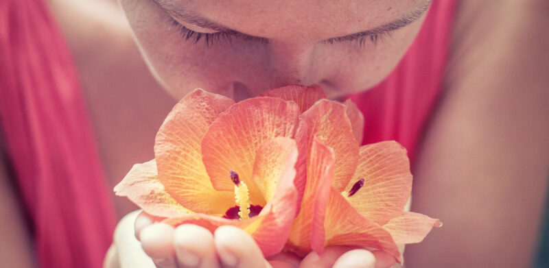 štetnost mirisnih lampica