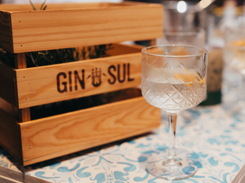 Gin-Sul-inspiracije-anita-vukušić-crevar